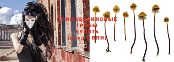 спайс Кукмор