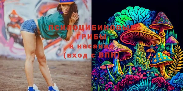 прущие крисы Елабуга