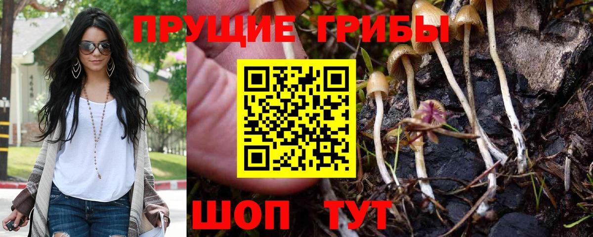 Радужный  Псилоцибиновые грибы Psilocybe  Вход с VPN 