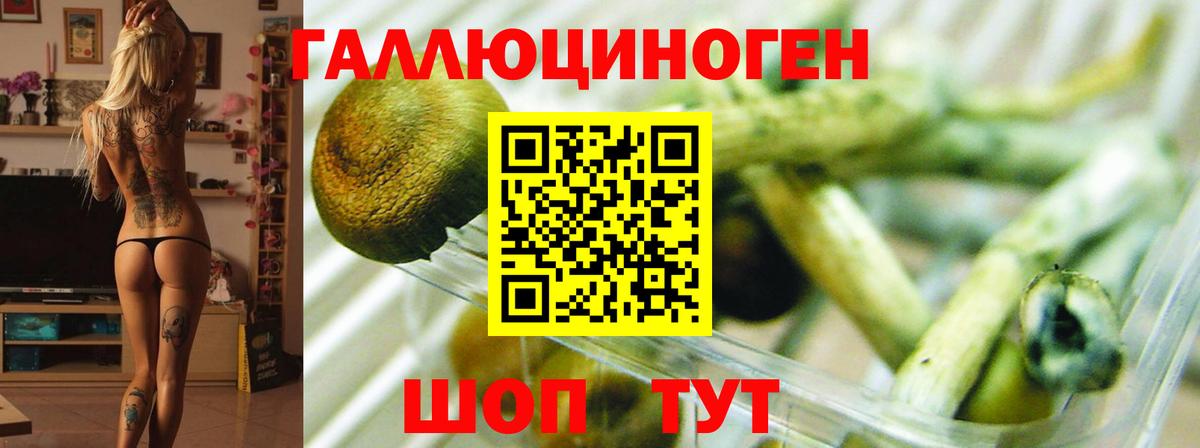 Псилоцибиновые грибы MAGIC MUSHROOMS Радужный